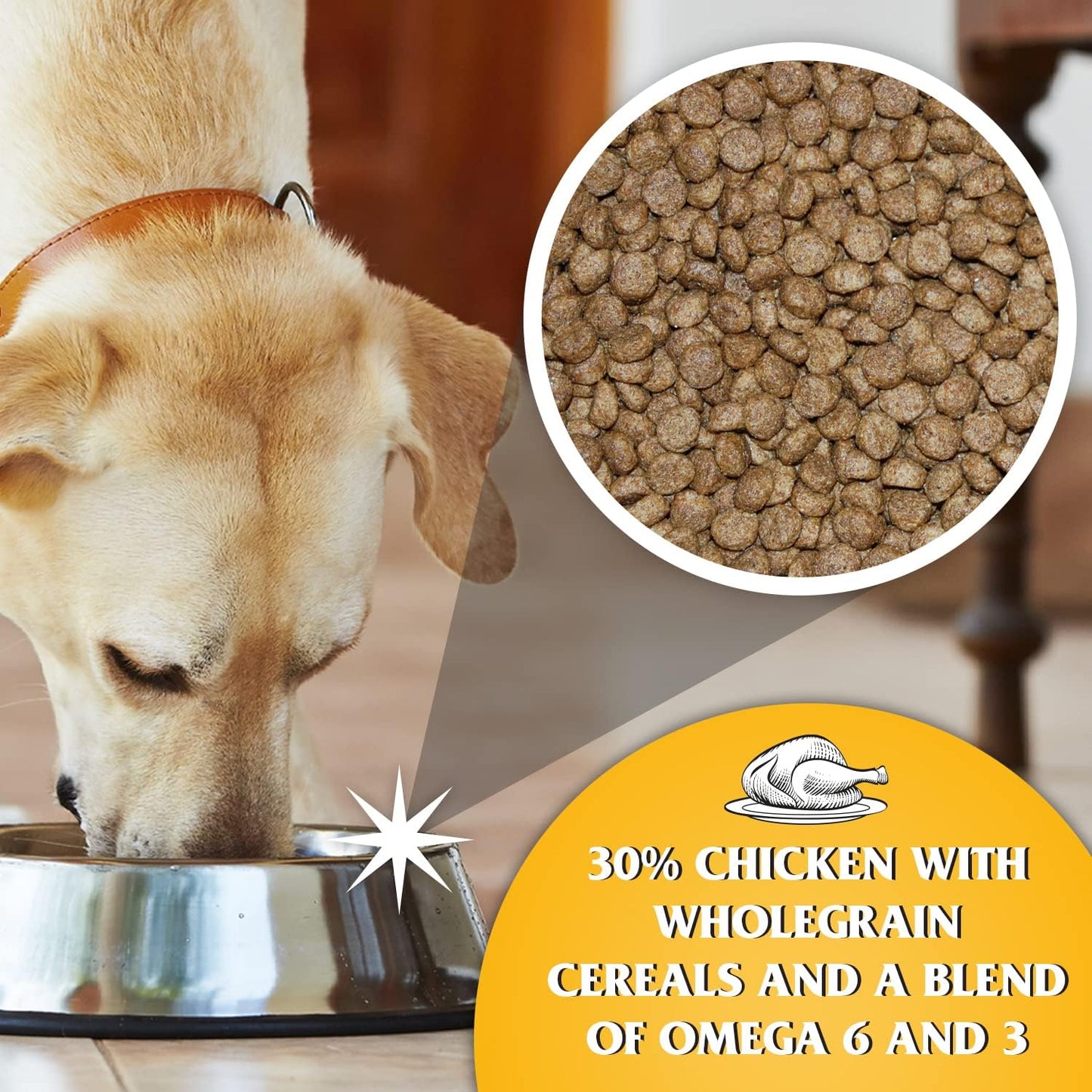 Dr John Dry Puppy Food 10kg with Omega-3s - Chicken Recipe - Complete Nutrition for Puppies of Sporting Active Breeds - Junior High Protein Dry Dog Food.