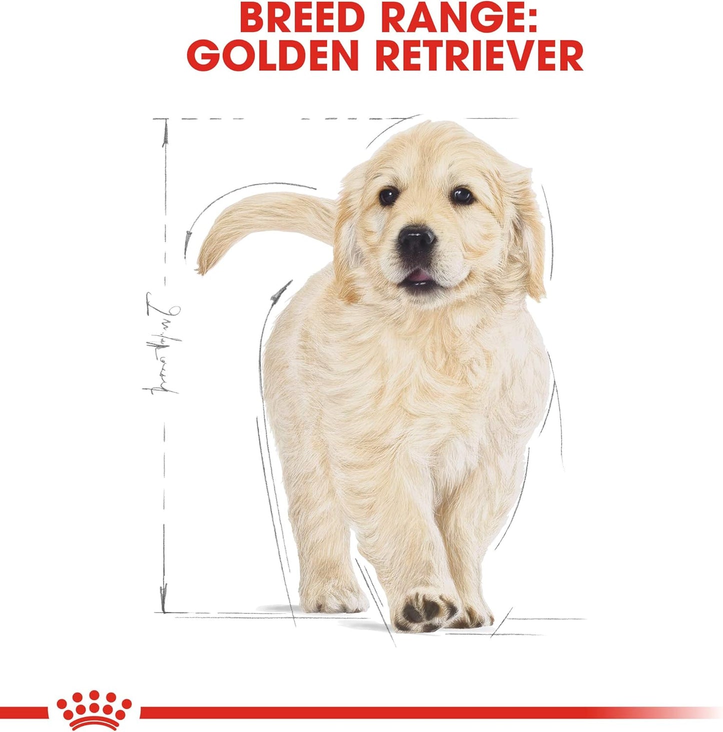 Royal Canin Dog Food Golden Retriever Puppy Dry Mix 3kg