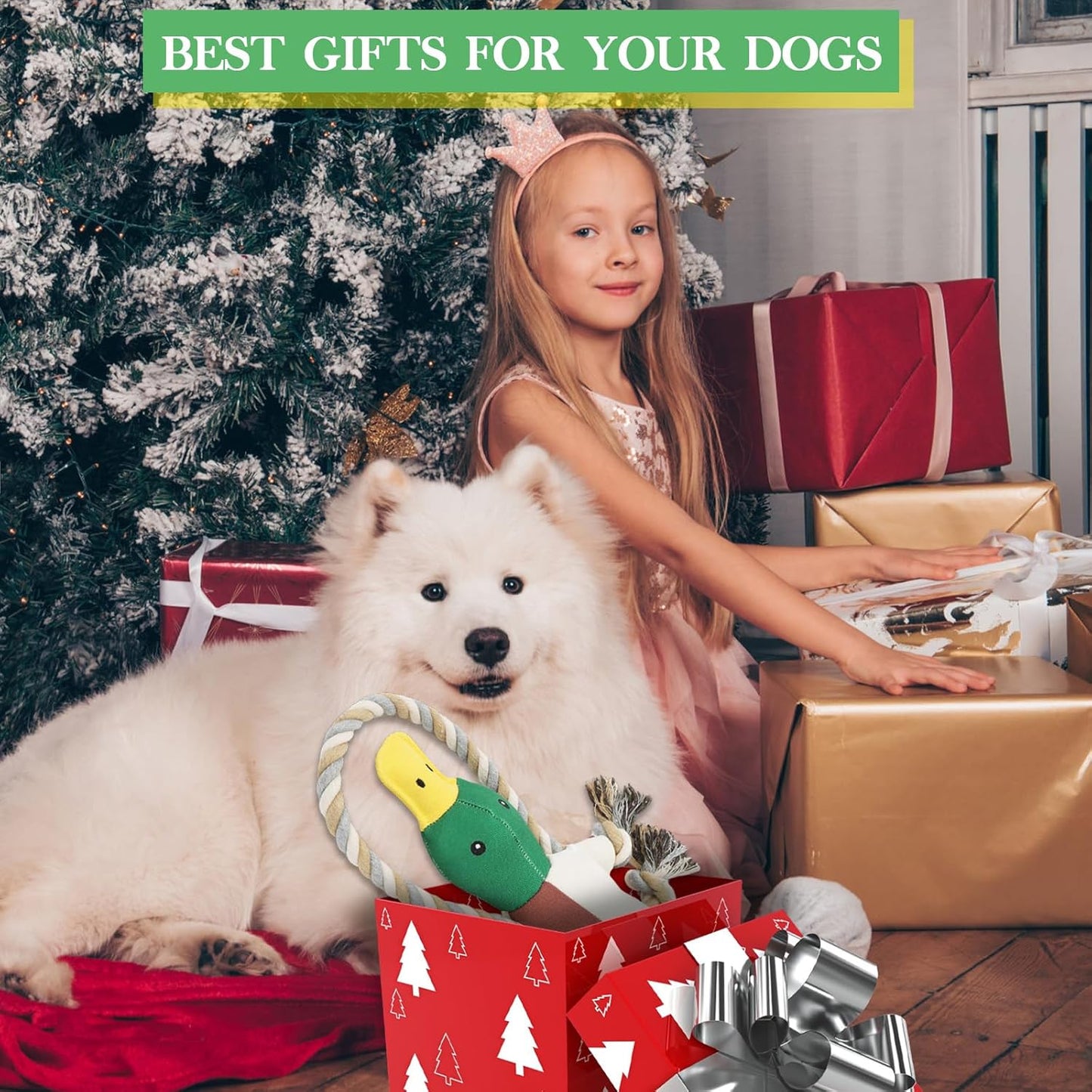 Verla Squeaky Dog Toys Soft Plush Dog Toy with Crinkle Paper Stuffed Dog Chew Toys Indestructible Dog Toys Interactive Dog Teething Toys Tug of War Dog Toys for Small Medium Breed Dogs - Birthday Gift - Comfort Style