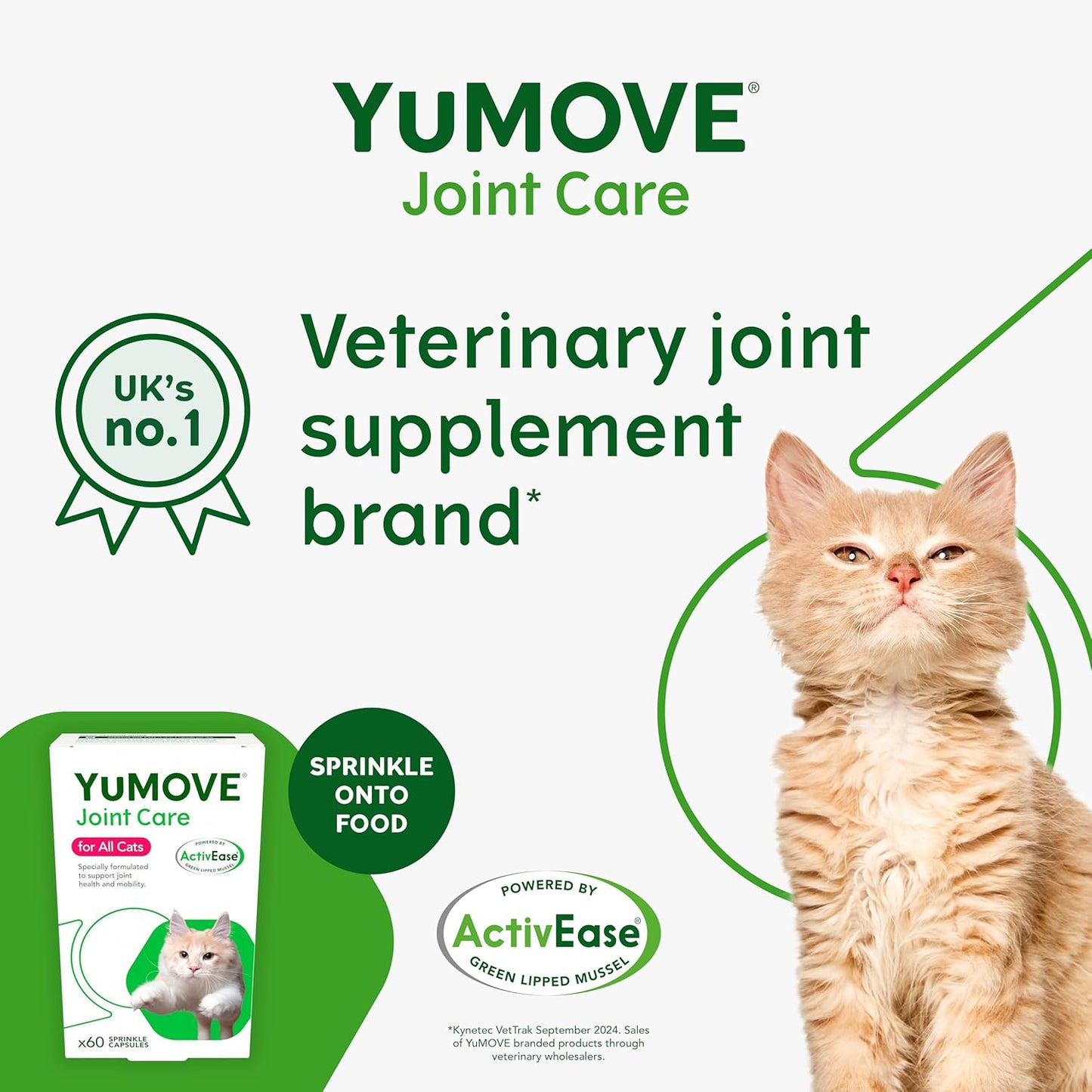 YuMOVE Cat | Joint Supplement for Cats, with Glucosamine, Chondroitin, Green Lipped Mussel, All Ages and Breeds | 60 Capsules - Comfort Style