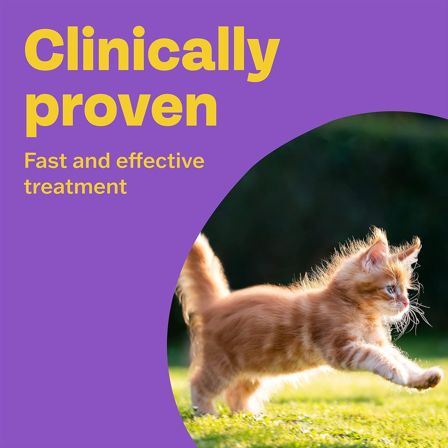 Bob Martin Clear Wormer Treatment for Cats (2 Tablets) - Suitable for Kittens, Clinically Proven Treatment - Comfort Style