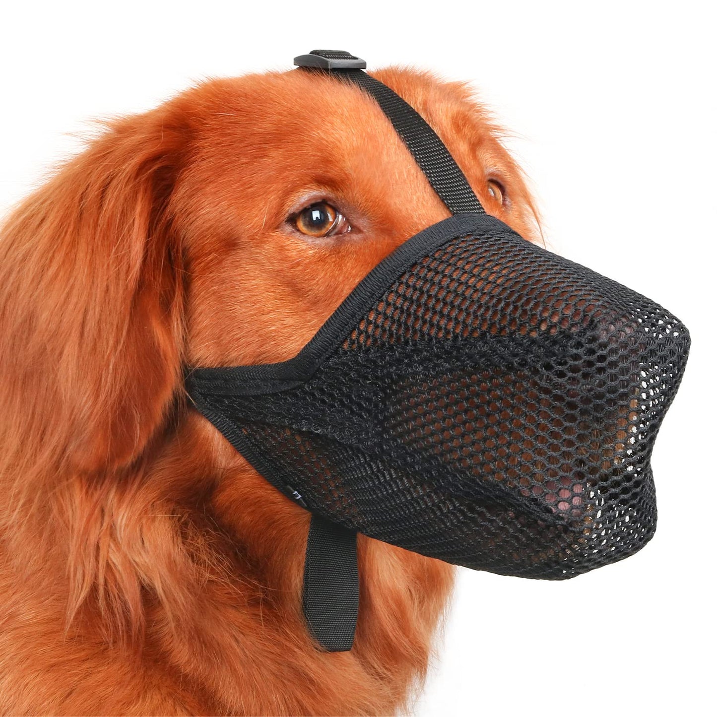 Mayerzon Dog Muzzle, Patented Soft Mesh Muzzle for Small Medium Large Dogs for Scavenging Biting Licking and Chewing, Allows to Pant and Drink (XS, Black)