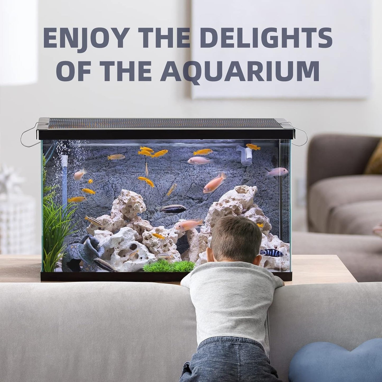 EASYTEST 6 in 1 Aquarium Test Strips, 150 Strip Pack Aquarium Water Test Kit for Freshwater, Fish Tank, Fish Pond, Accurate Testing Total Hardness, Carbonate Nitrate, Nitrite, Cl2, pH - Comfort Style