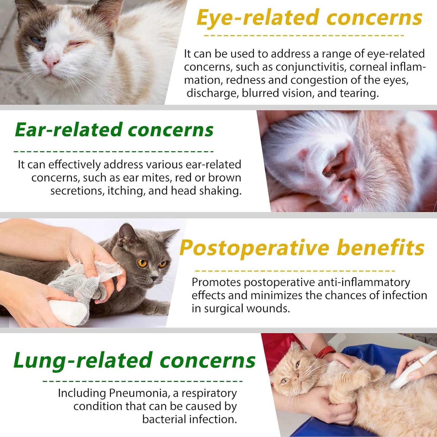 Antibiotics for Cats, Cat Antibiotics 60ml, Cat Immune Support, Cat Antibiotics for Infections, Cat Itch Relief, Cat Multivitamin, Supports Cat Allergy Relief, Roast Chicken Flavor - Comfort Style
