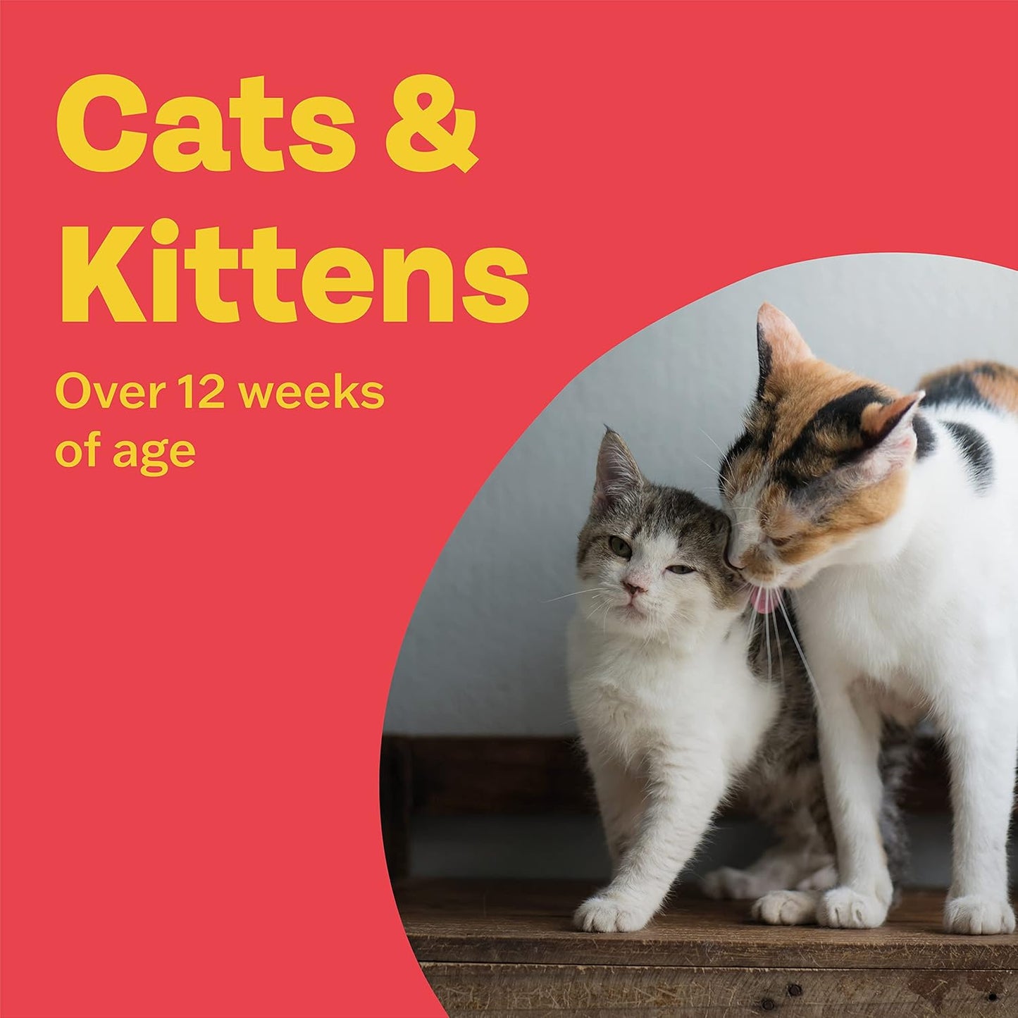 Bob Martin Clear Wormer Treatment for Cats (2 Tablets) - Suitable for Kittens, Clinically Proven Treatment - Comfort Style