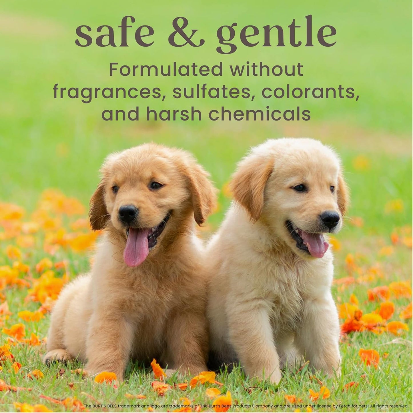 Burts Bees Tearless 2 in 1 Shampoo and Conditioner for Puppies with Buttermilk & Linseed Oil, 473ml, white