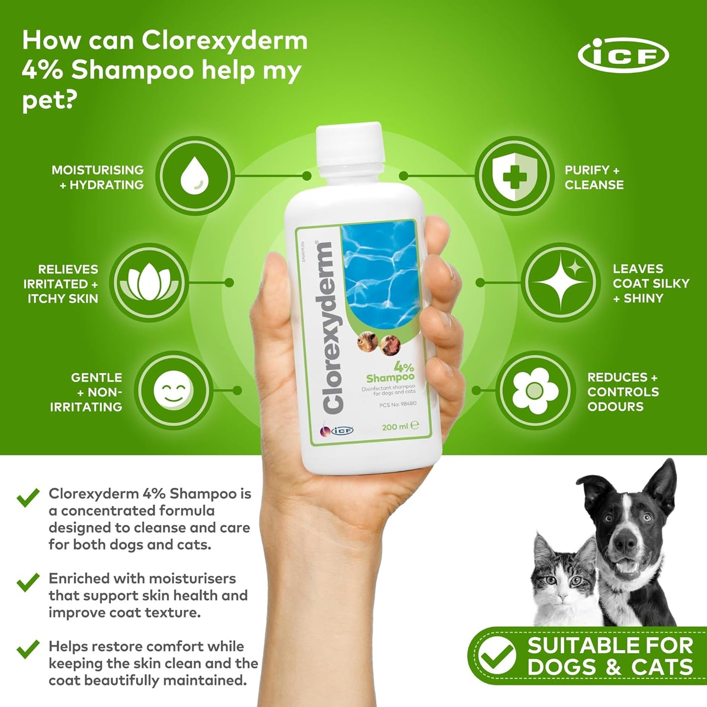 ICF | Clorexyderm 4% Dog Shampoo for Itchy Skin Relief | Anti Itch + Antifungal + Antibacterial Shampoo for Pets with Sensitive Skin 200ml