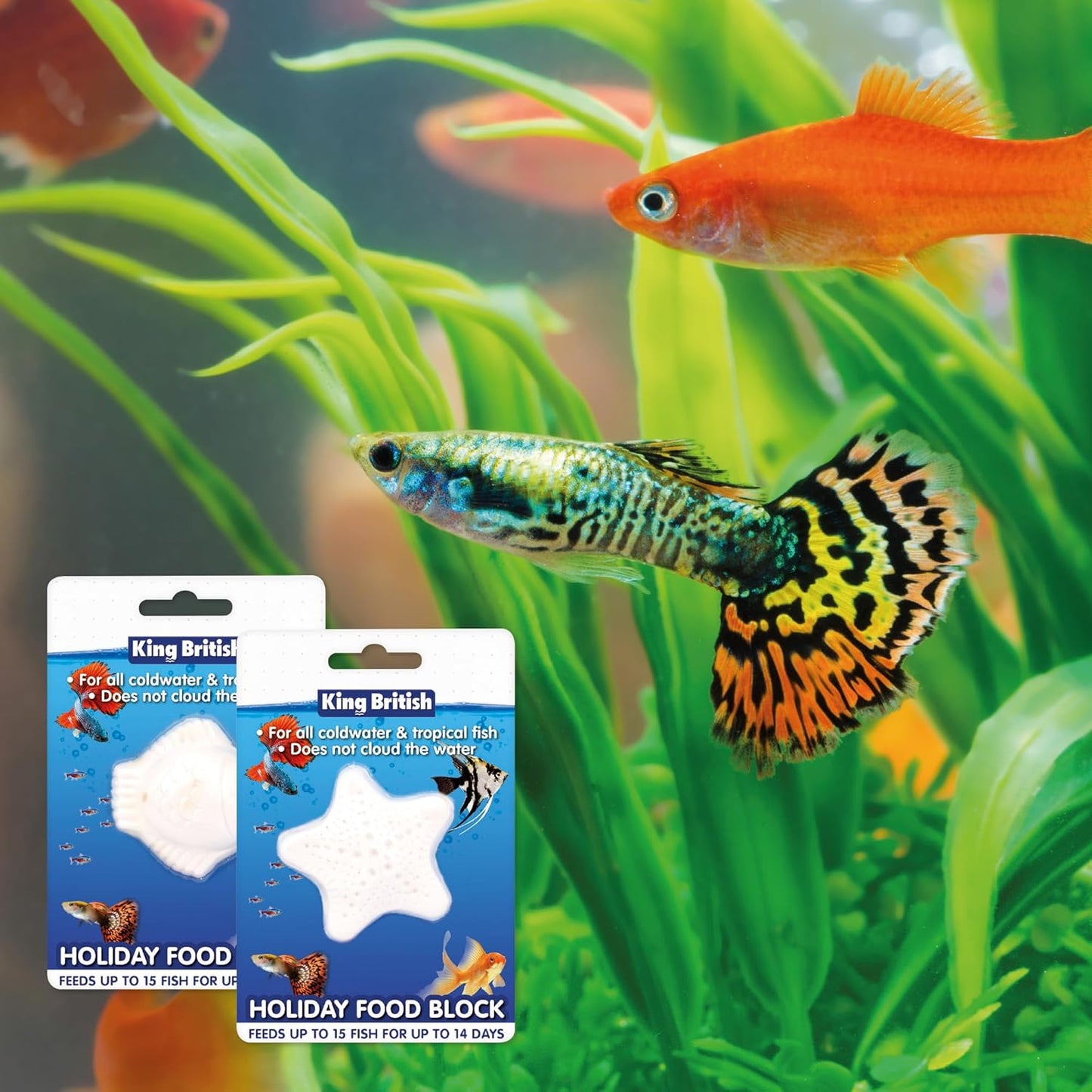 King British – Holiday Block Food – For Coldwater & Tropical Fish – Ideal for Leaving your Fish over Holidays – Does Not Cloud Water Ingredients – Helps keep Fish Healthy & Active - Comfort Style