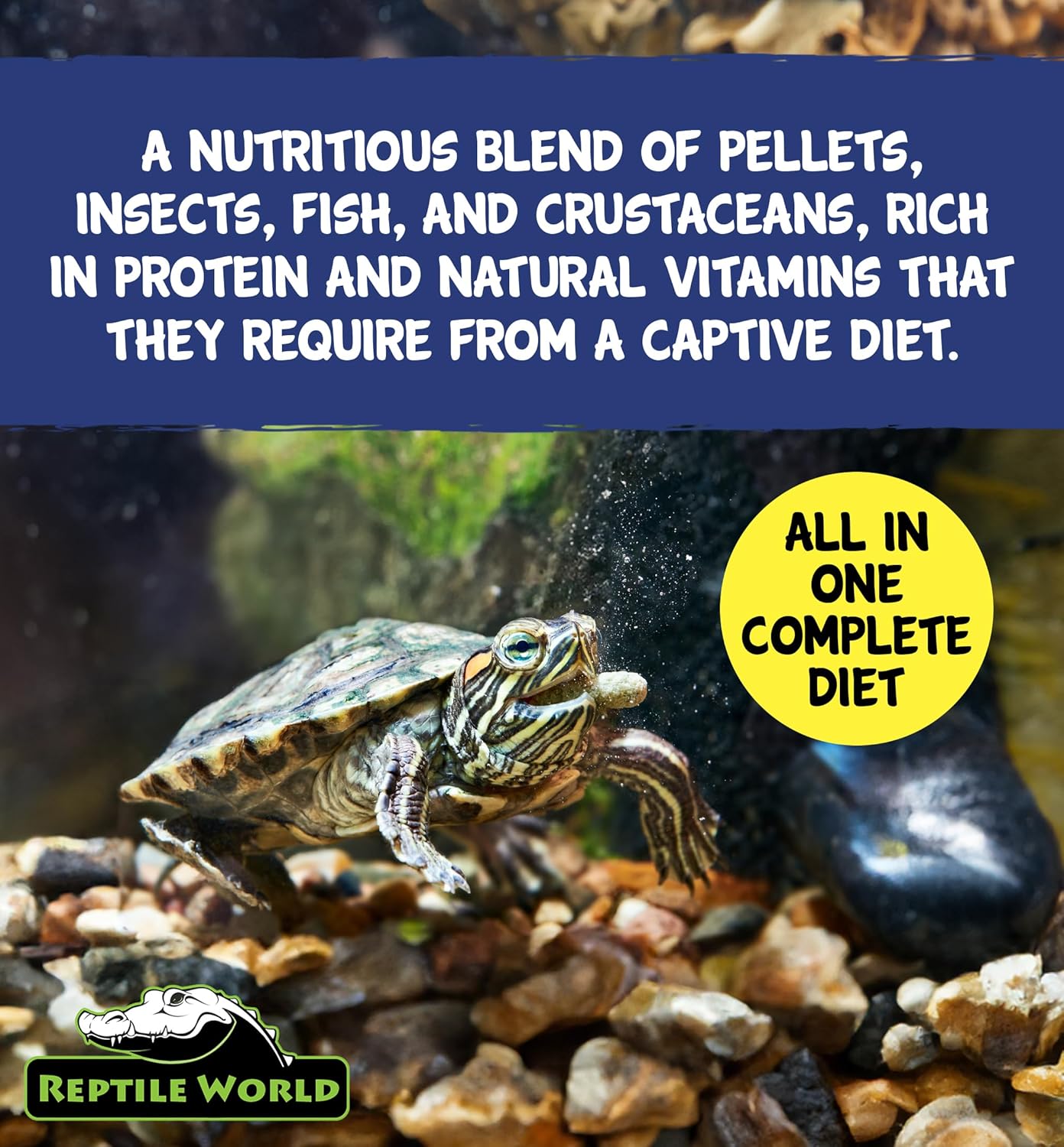 Reptile World Turtle and Terrapin Complete Food 1ltr Tub (240g) | Floating Blend with Pellets, Insects & Fish - Comfort Style