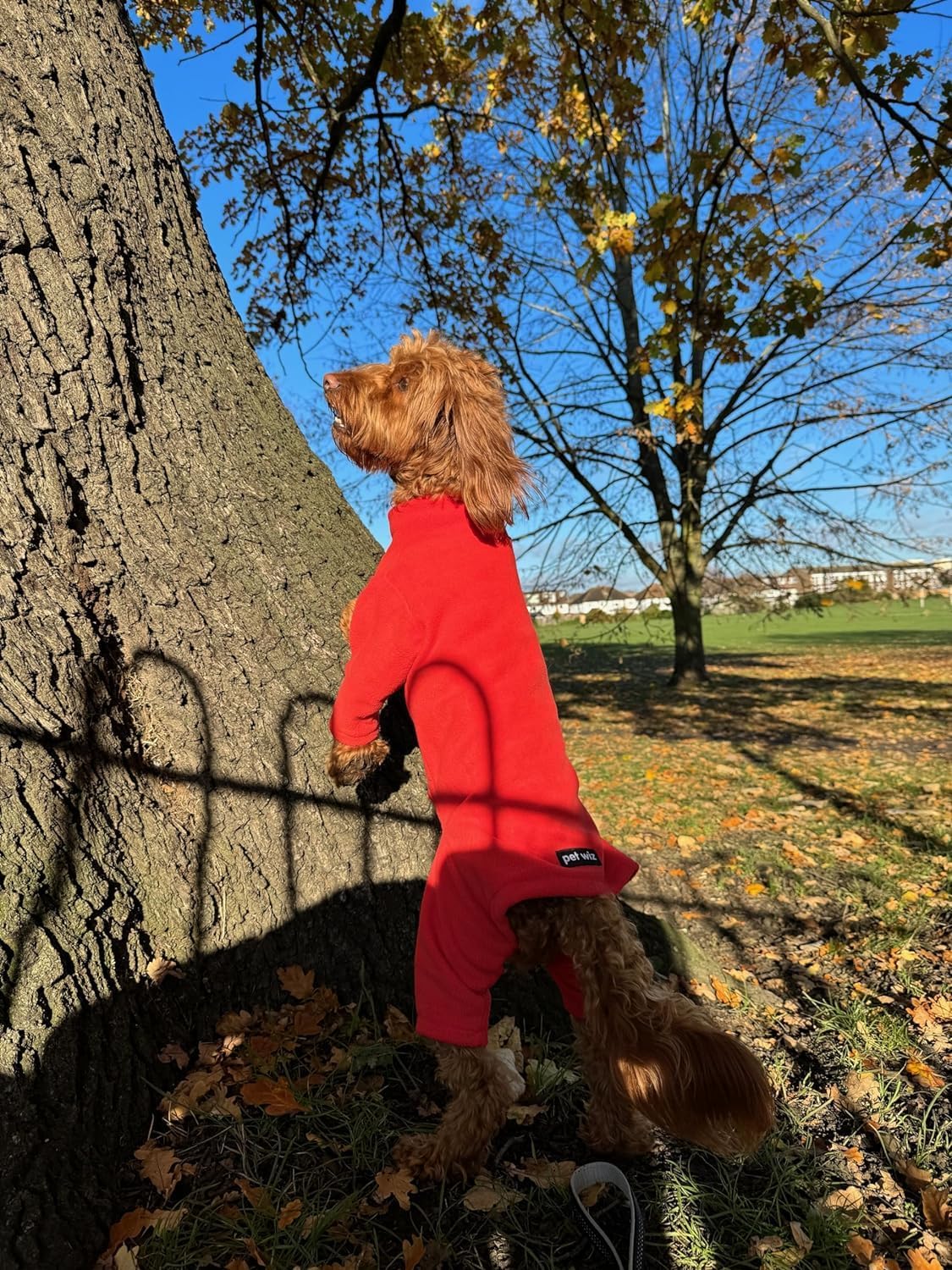 Warm Four-Legged Dog Fleece – Super Soft, Weather-Resistant (Coral, Medium) - Comfort Style