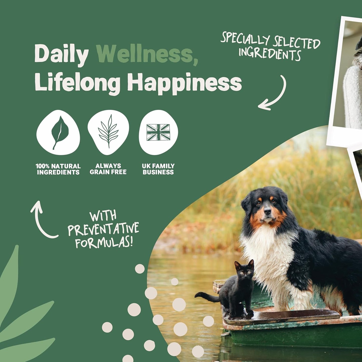 Pets Purest Natural Wormwood Formula - 100% Natural Alternative to Nasty Chemical Products - Benefits Intestinal Hygiene - For Dogs, Cats, Poultry, Birds, Ferrets, Rabbits & Pets - Comfort Style