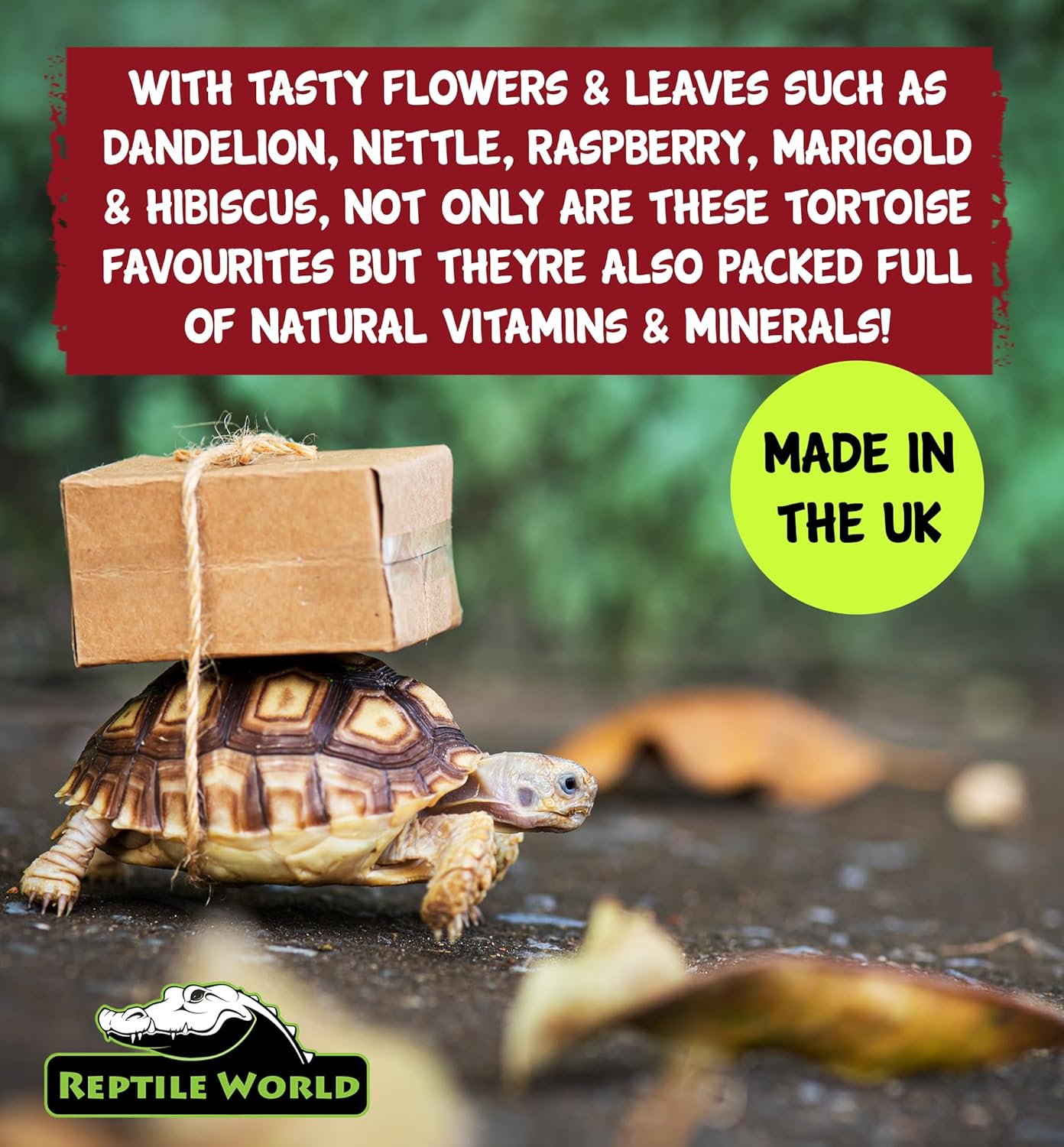 Reptile World Tortoise Edible Bedding 10ltr Bag | Readi Grass, Flowers & Leaves, Botanical Bedding Food - Comfort Style