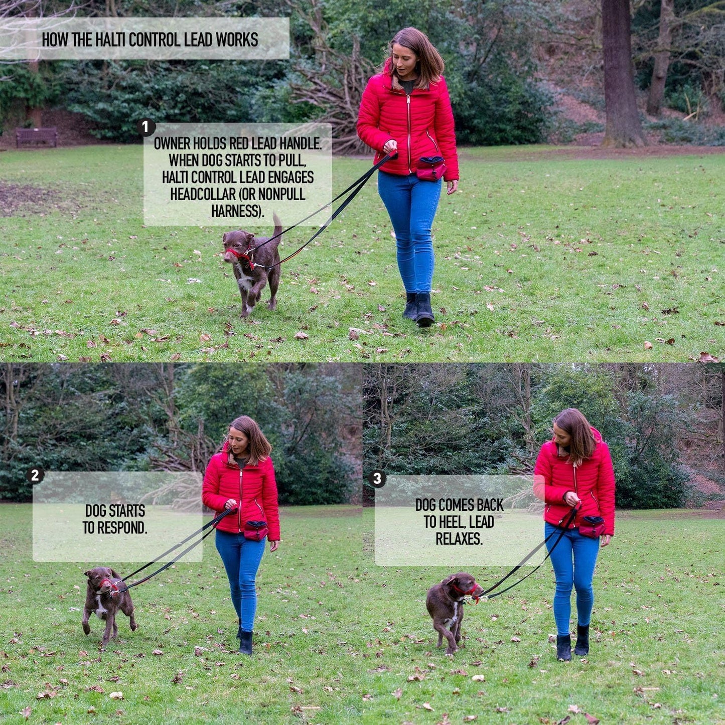 HALTI Control Lead Size Large Black, 2m, Professional Dog Lead to Stop Pulling on the Lead, Perfect for Puppy Walks, Easy to Use Double-Ended Dog Training Lead with 2 Handles - Comfort Style