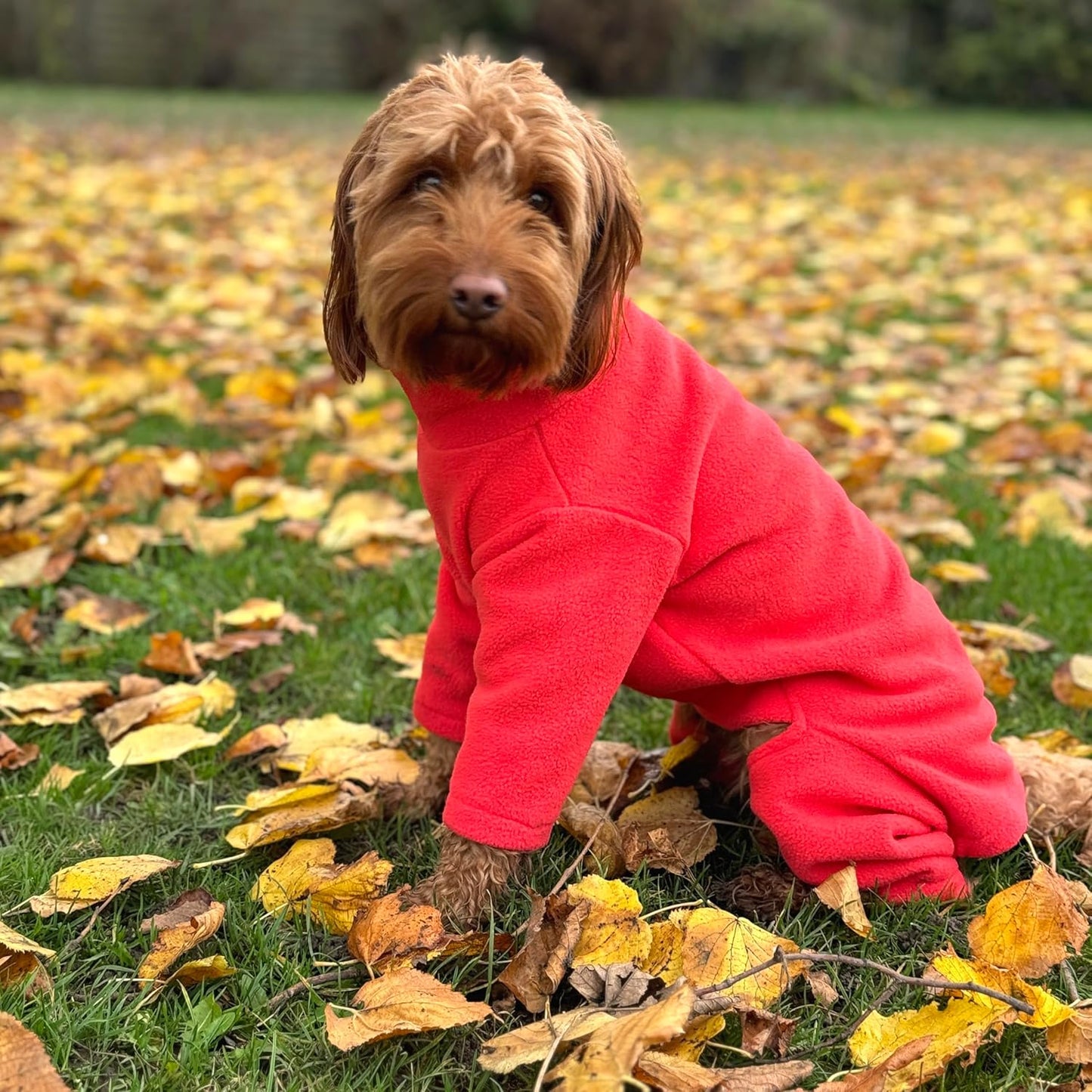 Warm Four-Legged Dog Fleece – Super Soft, Weather-Resistant (Coral, Medium) - Comfort Style