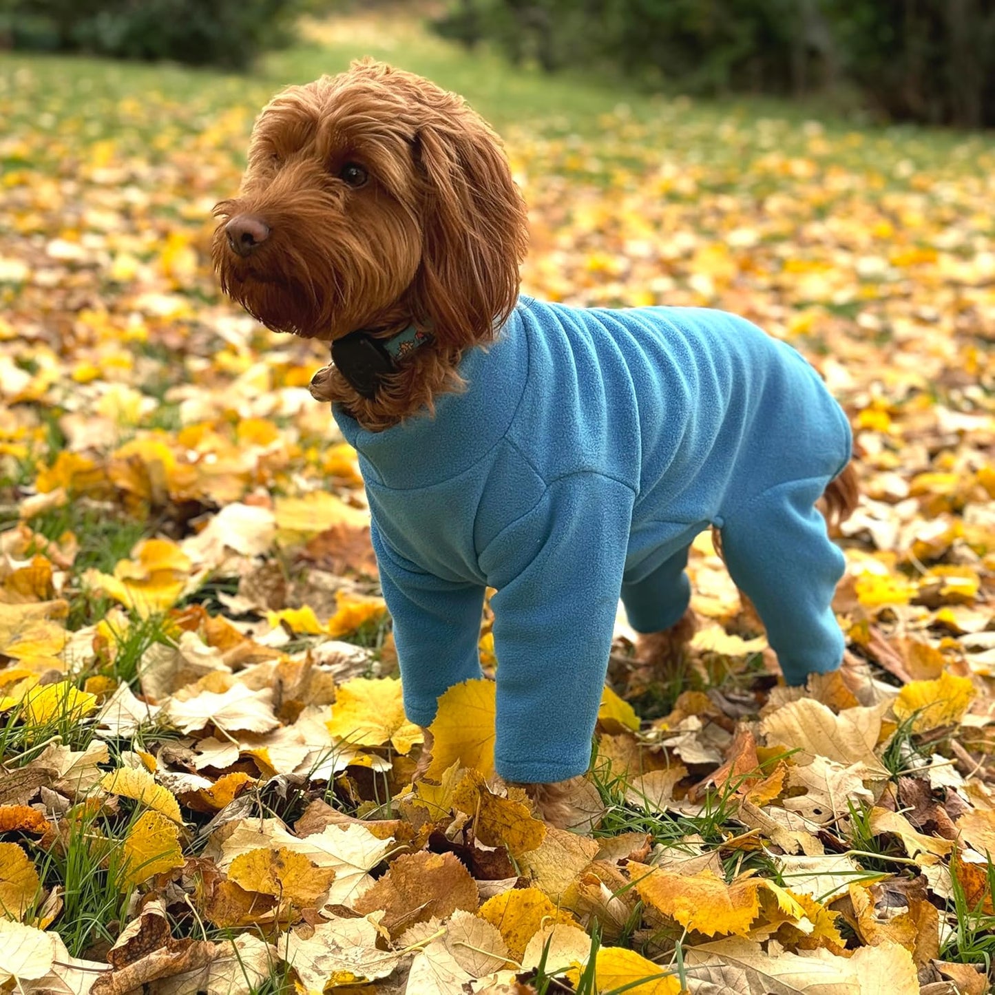Warm Four-Legged Dog Fleece – Super Soft, Weather-Resistant (Coral, Medium) - Comfort Style