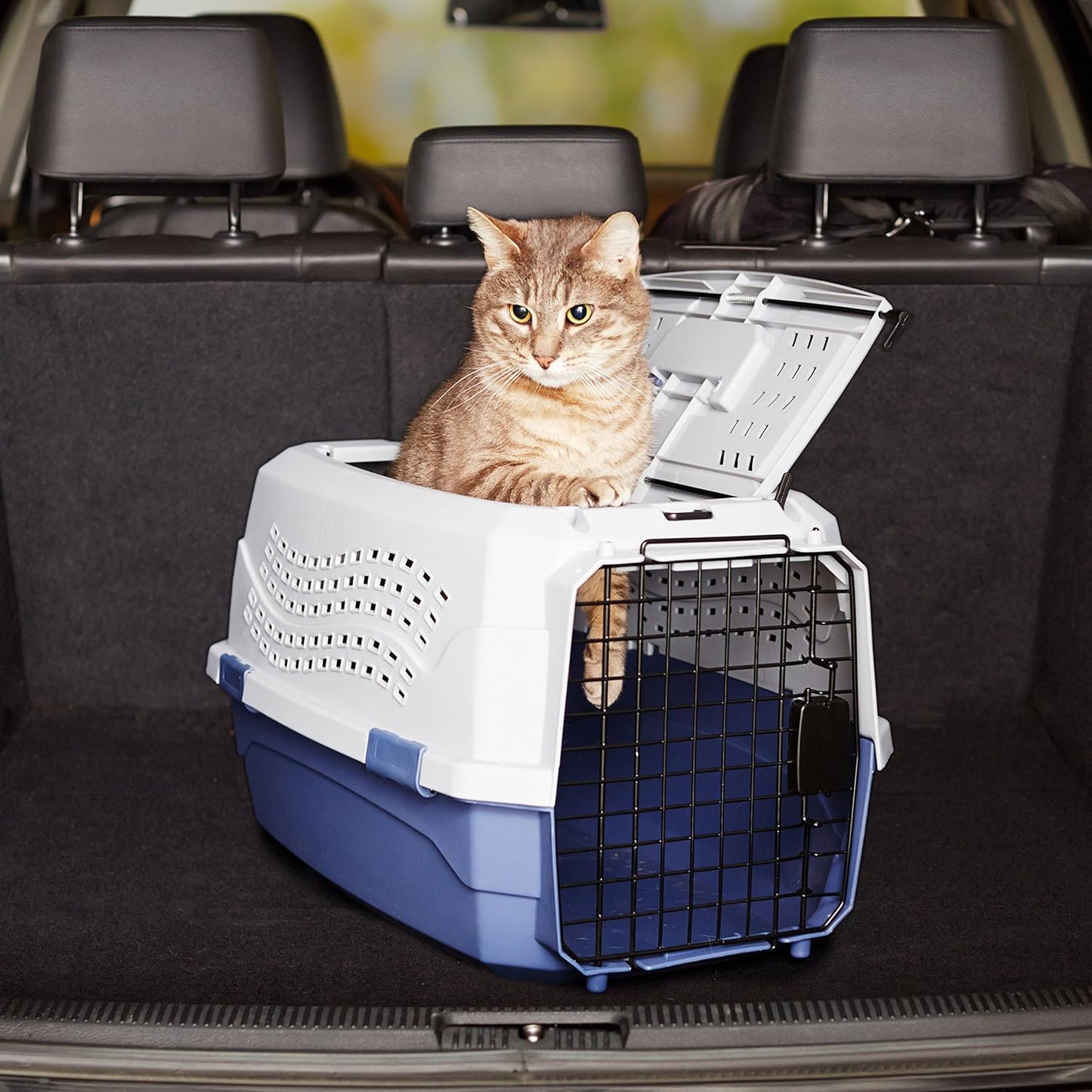 Amazon Basics Hard-Sided Cat Carrier, Two-Door Top-Load Pet Dog/Cat Travel Box Carrier, Blue, 58 L x 38 W x 33 H cm - Comfort Style