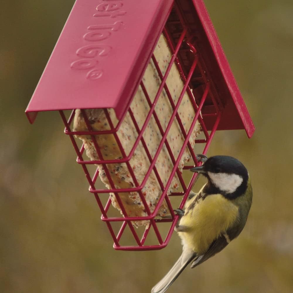 Bird Supplies