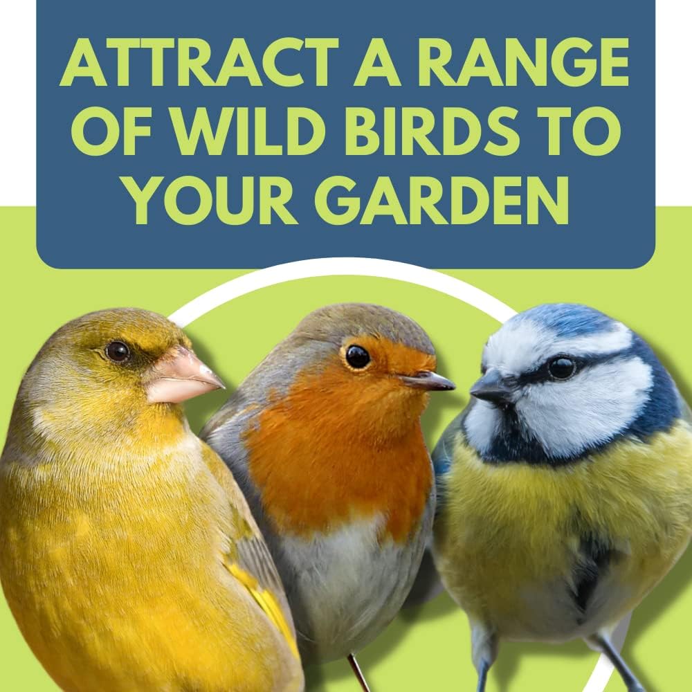 Bird Food & Treats