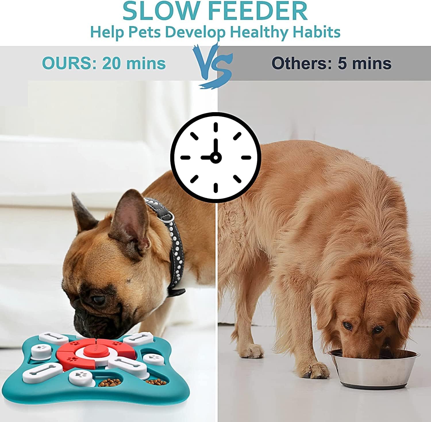 Dog Food & Treats