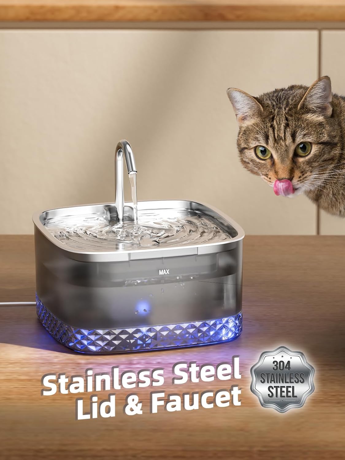 Cat Health & Wellness