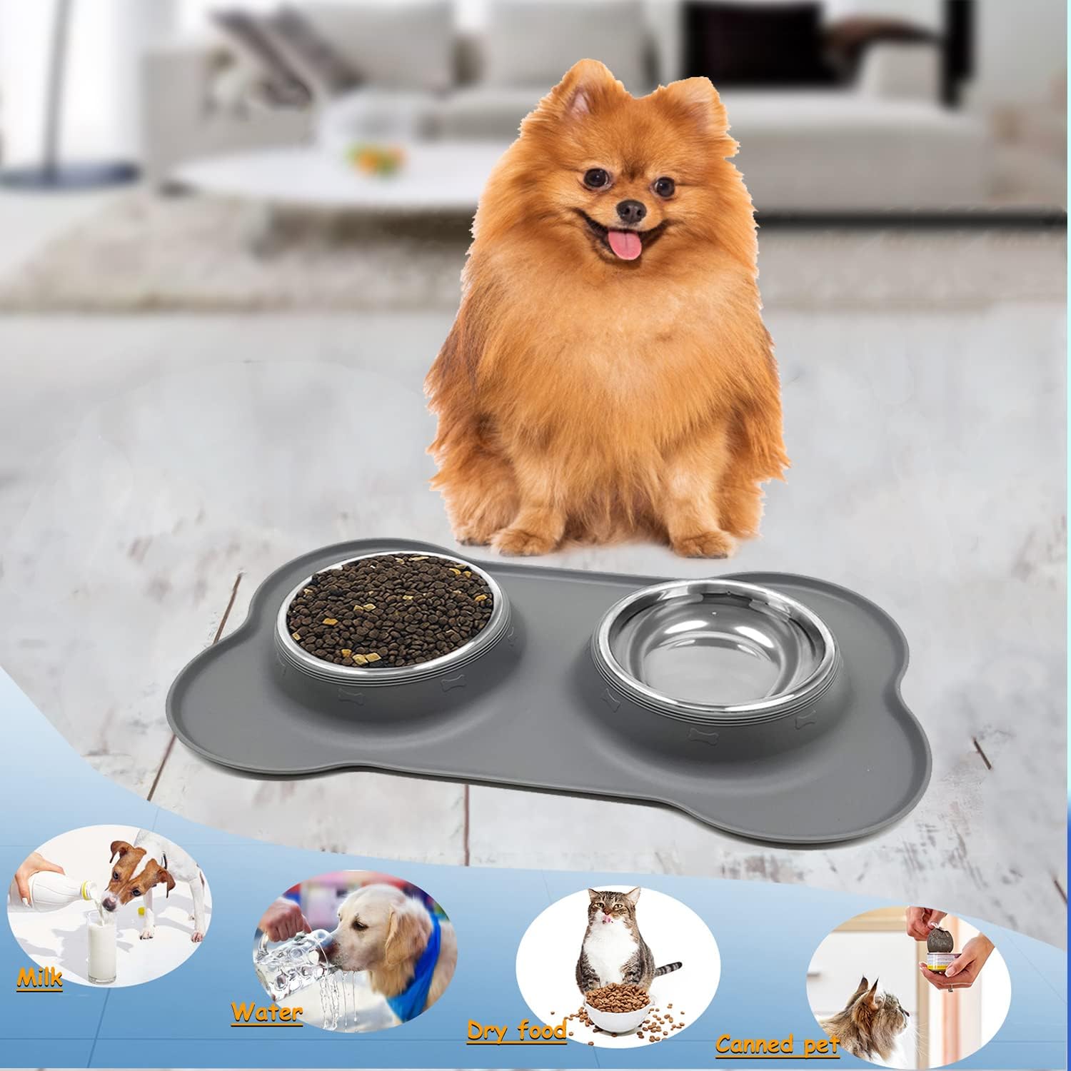 Cat Feeding & Watering