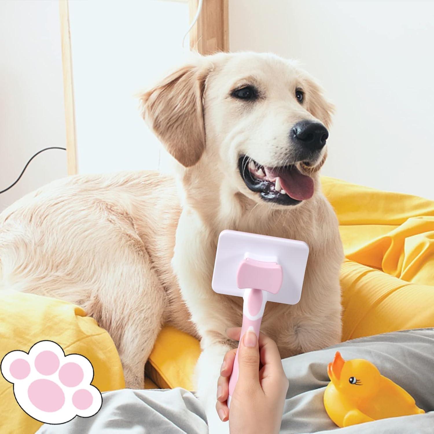 Dog Supplies