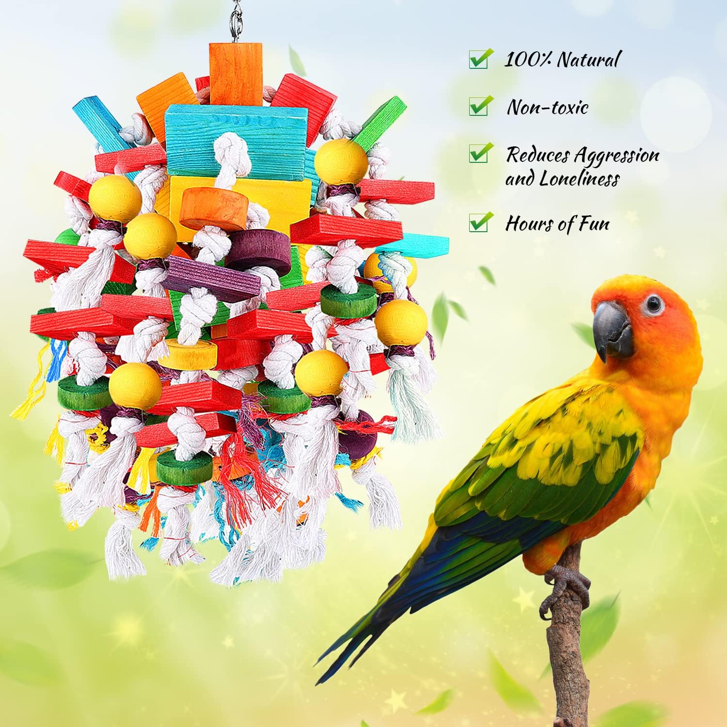 Bird Toys & Entertainment