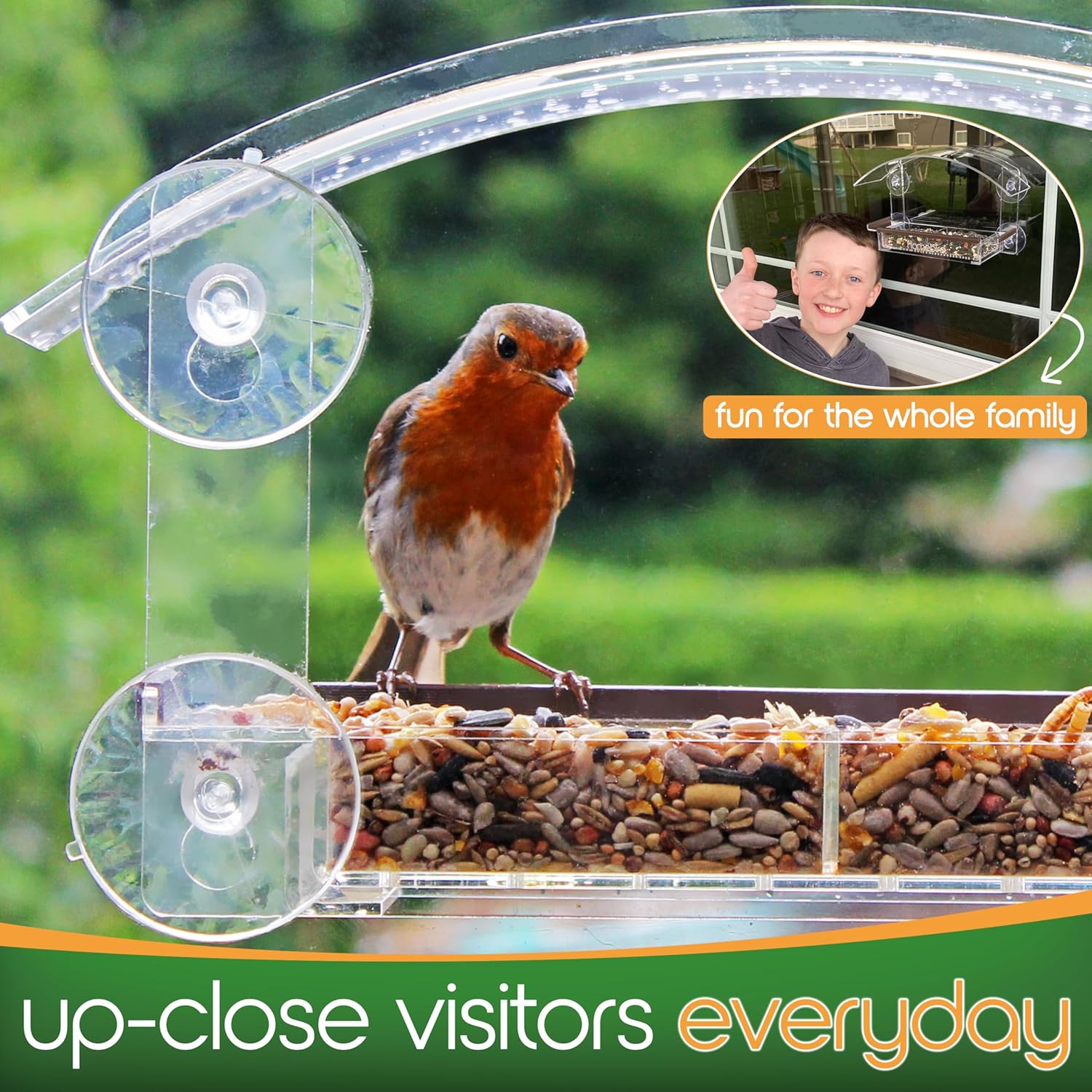Bird Cleaning & Maintenance