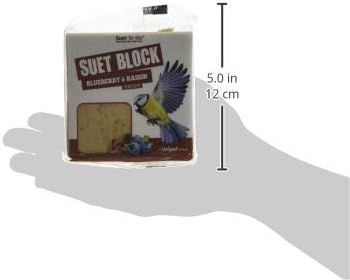 Suet To Go Mealworm Suet Block Wild Bird Treat, 300 g ( Pack of 10) - Comfort Style