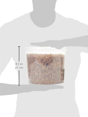 Premium Dried Mealworms, 5L Bag - Comfort Style