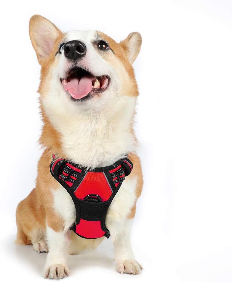 rabbitgoo Dog Harness Large Dog No Pull Pet Harness with 2 Leash Clips, Adjustable Soft Padded Pet Vest, Reflective No-Choke with Easy Control Handle for Training or Walking, Red, L - Comfort Style