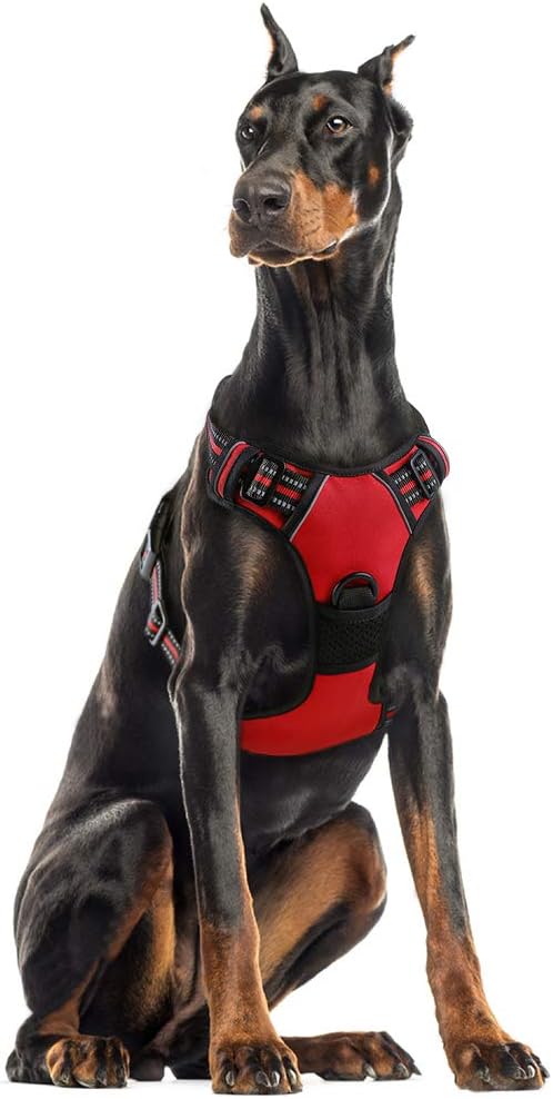 rabbitgoo Dog Harness Large Dog No Pull Pet Harness with 2 Leash Clips, Adjustable Soft Padded Pet Vest, Reflective No-Choke with Easy Control Handle for Training or Walking, Red, L - Comfort Style