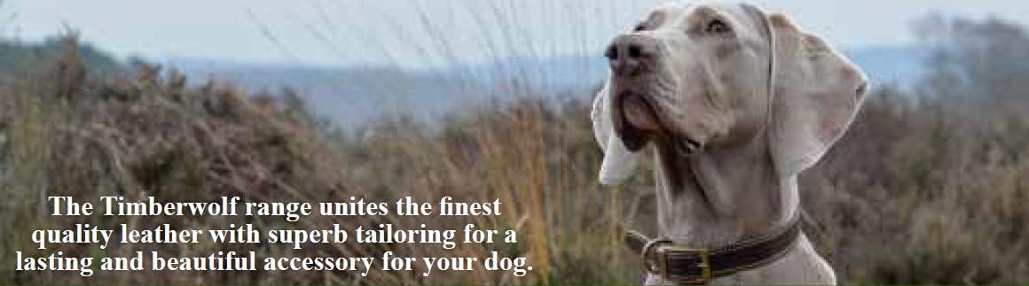 Ancol Timberwolf Greyhound Leather Dog Collar in Blue - Top Grain Bridle Leather Secure Pet Training Neckband - 34-43cm