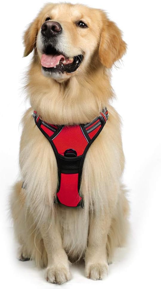 rabbitgoo Dog Harness Large Dog No Pull Pet Harness with 2 Leash Clips, Adjustable Soft Padded Pet Vest, Reflective No-Choke with Easy Control Handle for Training or Walking, Red, L - Comfort Style