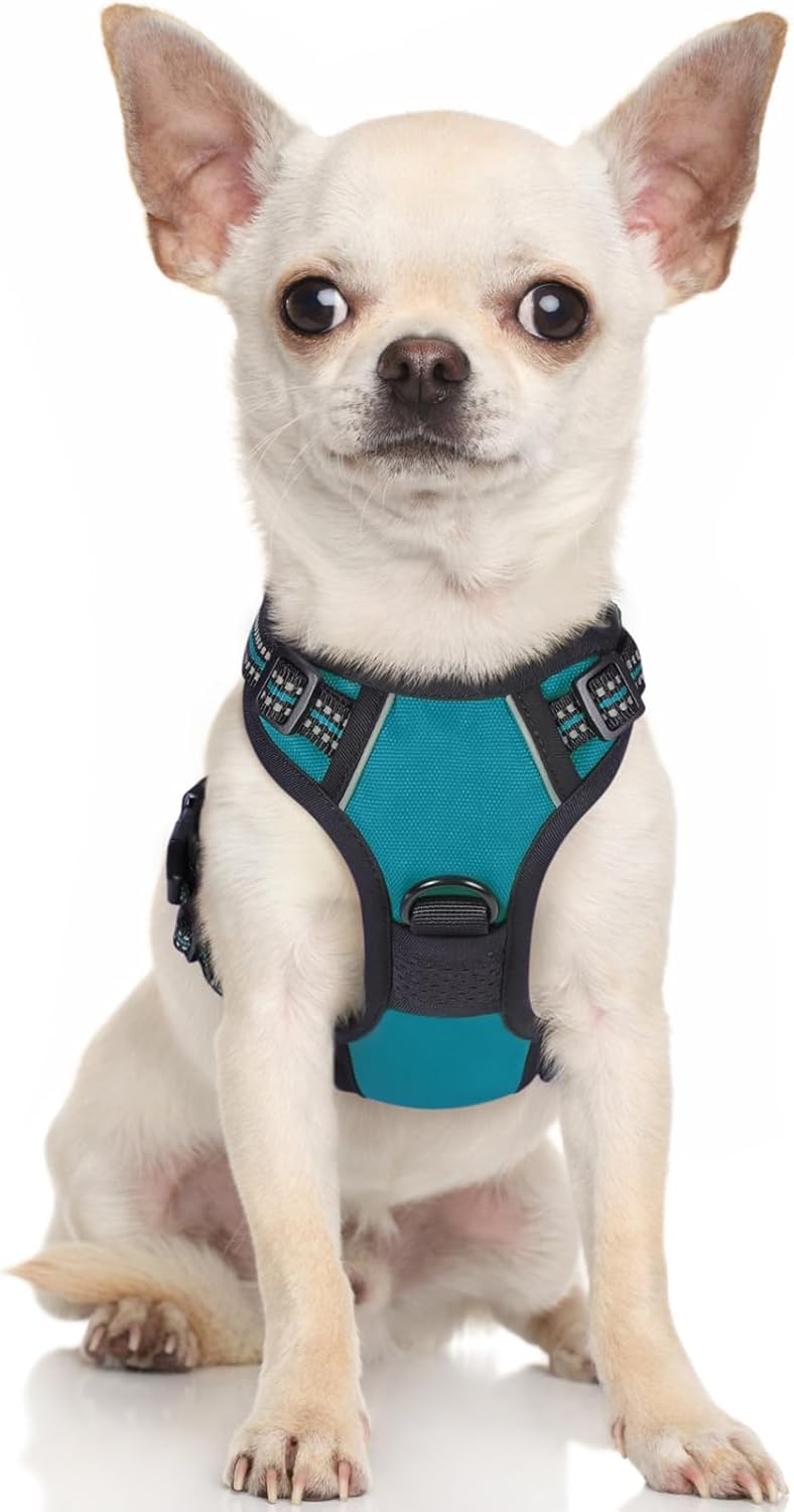 rabbitgoo Dog Harness Large Dog No Pull Pet Harness with 2 Leash Clips, Adjustable Soft Padded Pet Vest, Reflective No-Choke with Easy Control Handle for Training or Walking, Red, L - Comfort Style