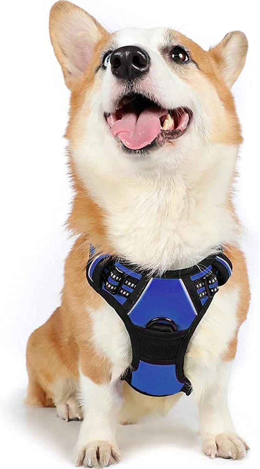rabbitgoo Dog Harness Large Dog No Pull Pet Harness with 2 Leash Clips, Adjustable Soft Padded Pet Vest, Reflective No-Choke with Easy Control Handle for Training or Walking, Red, L - Comfort Style