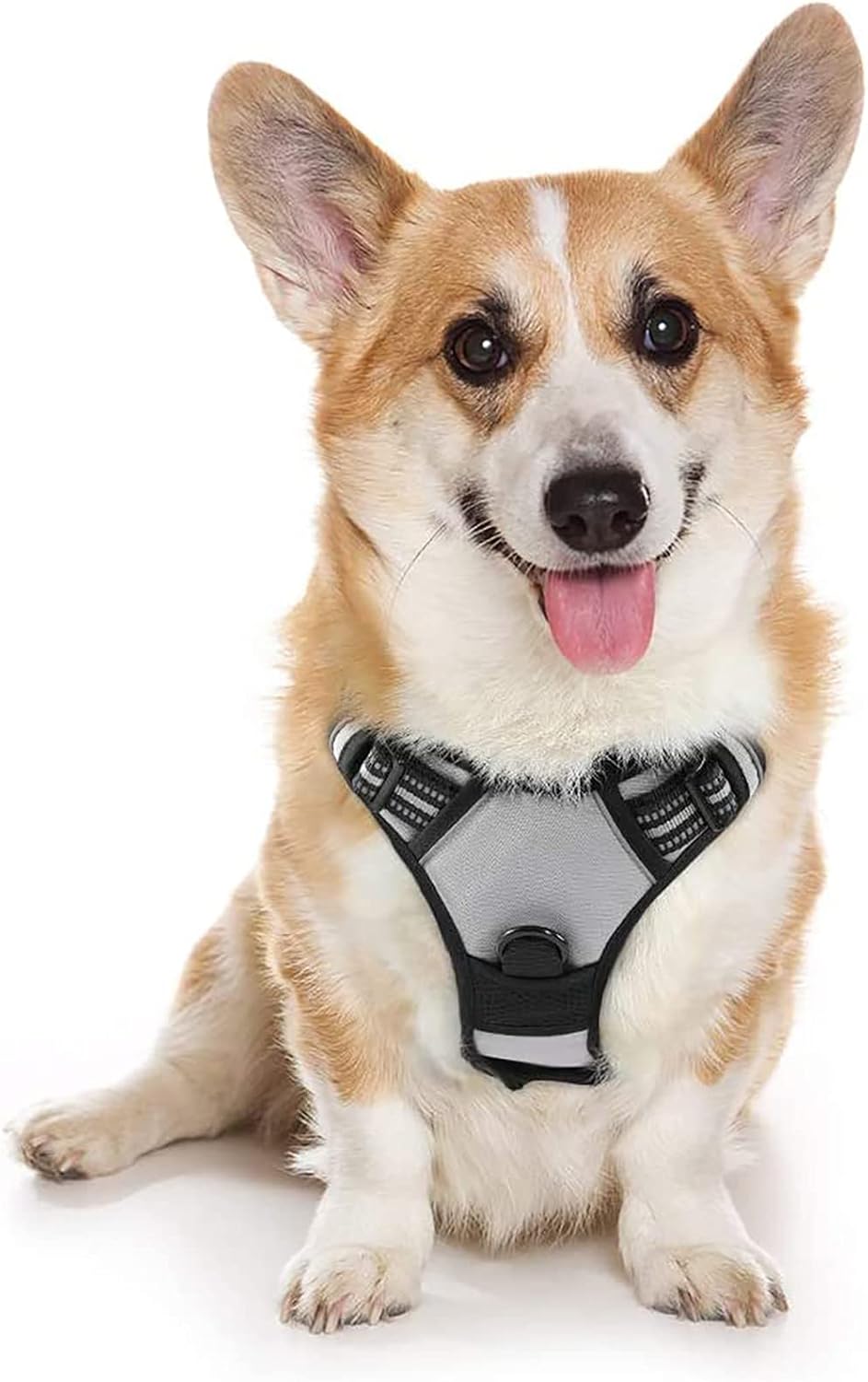 rabbitgoo Dog Harness Large Dog No Pull Pet Harness with 2 Leash Clips, Adjustable Soft Padded Pet Vest, Reflective No-Choke with Easy Control Handle for Training or Walking, Red, L - Comfort Style