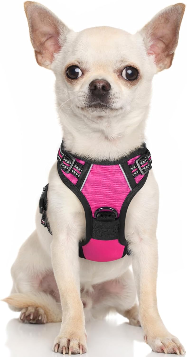 rabbitgoo Dog Harness Large Dog No Pull Pet Harness with 2 Leash Clips, Adjustable Soft Padded Pet Vest, Reflective No-Choke with Easy Control Handle for Training or Walking, Red, L - Comfort Style