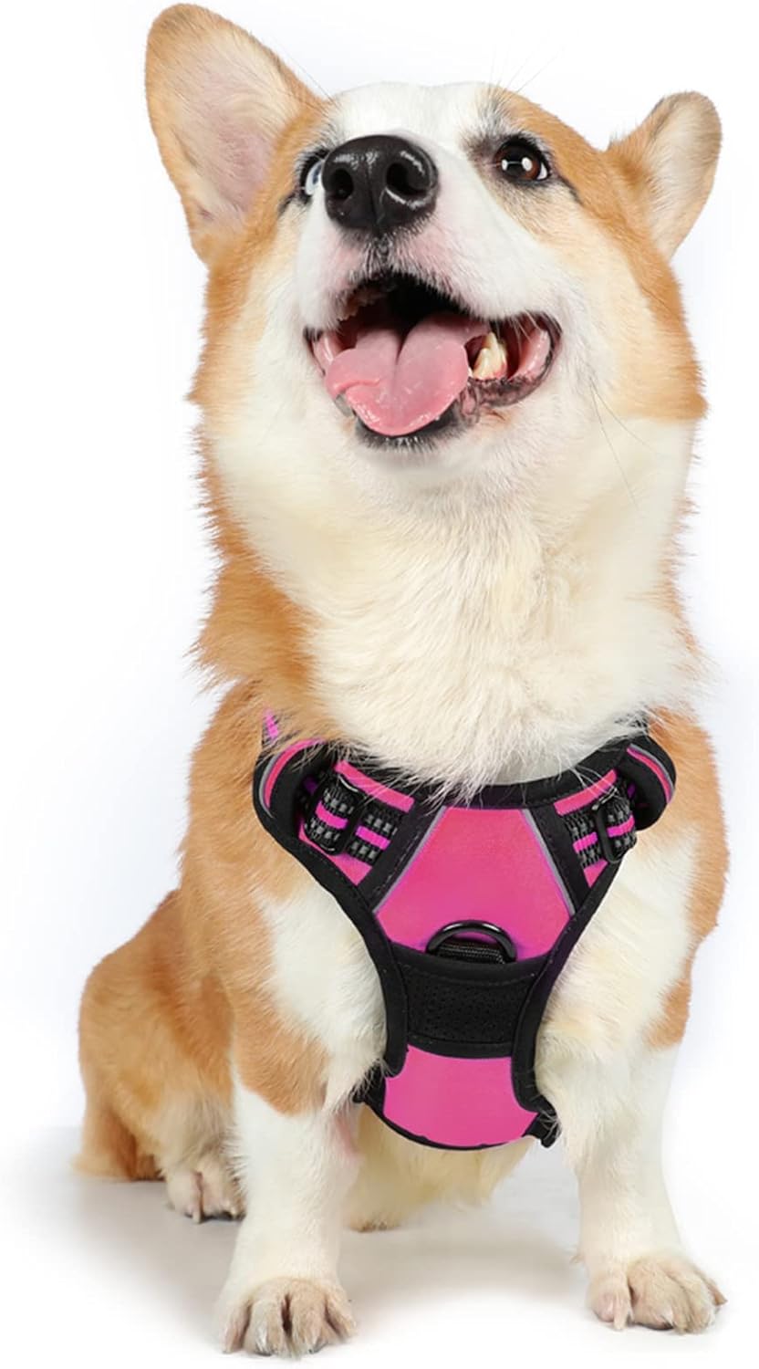 rabbitgoo Dog Harness Large Dog No Pull Pet Harness with 2 Leash Clips, Adjustable Soft Padded Pet Vest, Reflective No-Choke with Easy Control Handle for Training or Walking, Red, L - Comfort Style