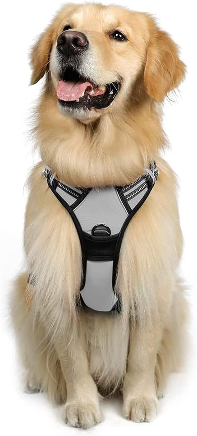 rabbitgoo Dog Harness Large Dog No Pull Pet Harness with 2 Leash Clips, Adjustable Soft Padded Pet Vest, Reflective No-Choke with Easy Control Handle for Training or Walking, Red, L - Comfort Style