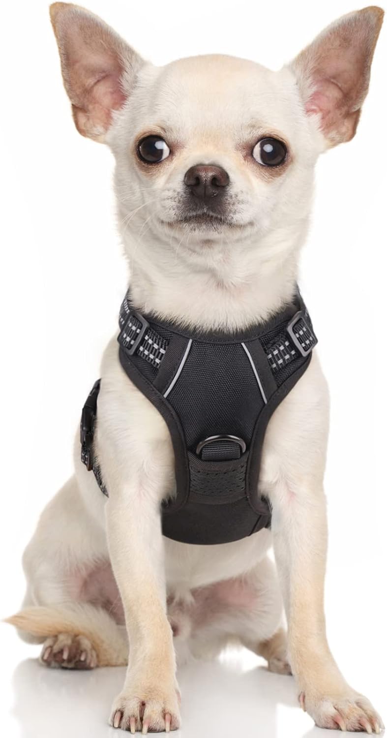 rabbitgoo Dog Harness Large Dog No Pull Pet Harness with 2 Leash Clips, Adjustable Soft Padded Pet Vest, Reflective No-Choke with Easy Control Handle for Training or Walking, Red, L - Comfort Style