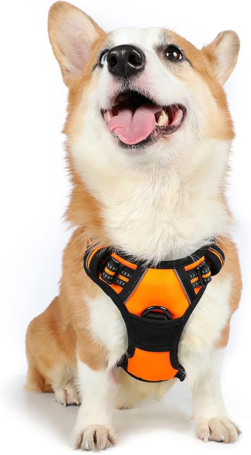 rabbitgoo Dog Harness Large Dog No Pull Pet Harness with 2 Leash Clips, Adjustable Soft Padded Pet Vest, Reflective No-Choke with Easy Control Handle for Training or Walking, Red, L - Comfort Style