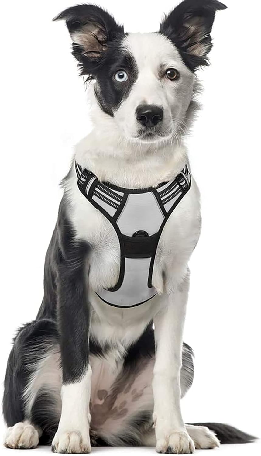 rabbitgoo Dog Harness Large Dog No Pull Pet Harness with 2 Leash Clips, Adjustable Soft Padded Pet Vest, Reflective No-Choke with Easy Control Handle for Training or Walking, Red, L - Comfort Style