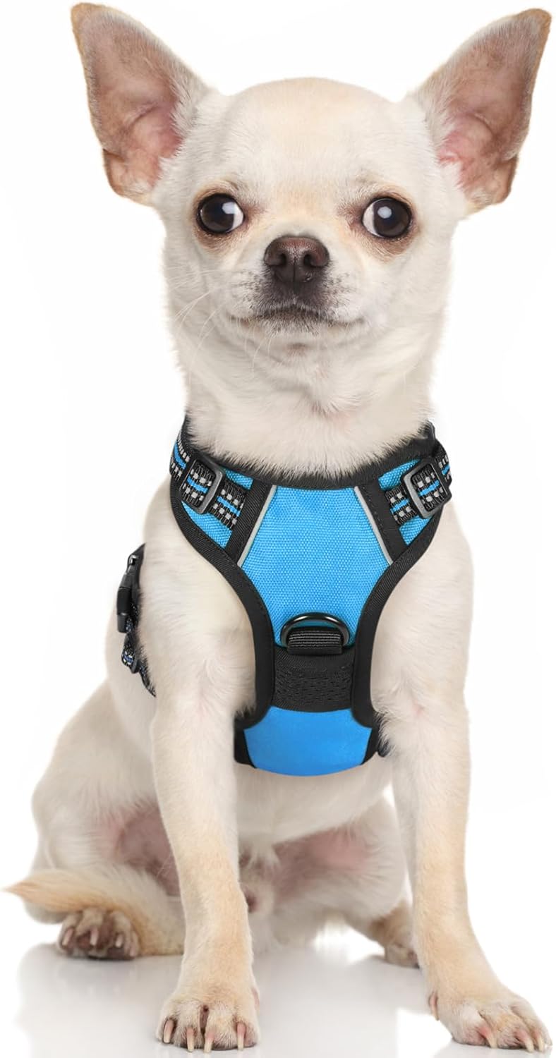 rabbitgoo Dog Harness Large Dog No Pull Pet Harness with 2 Leash Clips, Adjustable Soft Padded Pet Vest, Reflective No-Choke with Easy Control Handle for Training or Walking, Red, L - Comfort Style