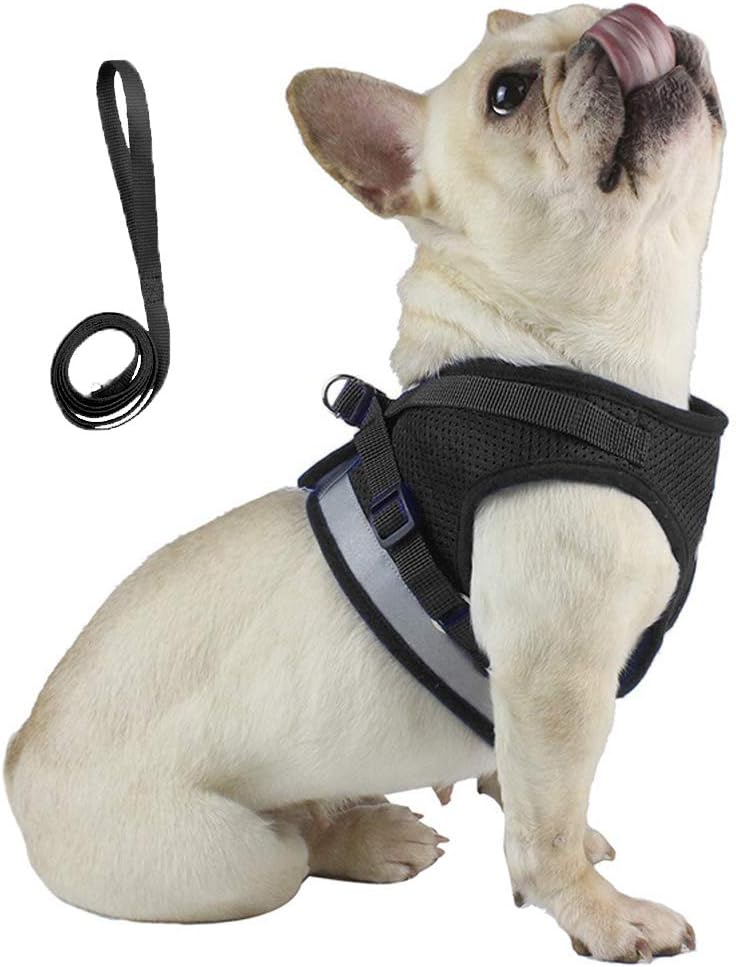 Anlitent Soft Mesh No Pull Cat Harness and Lead Set for Walking, Escape Proof Puppy Kitten Vest Harnesses for Animals Rabbit/Cats Cat Collar XS Under 3lbs - Comfort Style