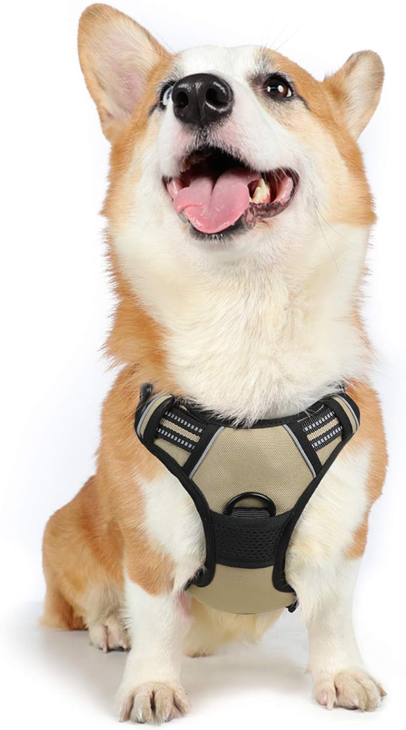 rabbitgoo Dog Harness Large Dog No Pull Pet Harness with 2 Leash Clips, Adjustable Soft Padded Pet Vest, Reflective No-Choke with Easy Control Handle for Training or Walking, Red, L - Comfort Style
