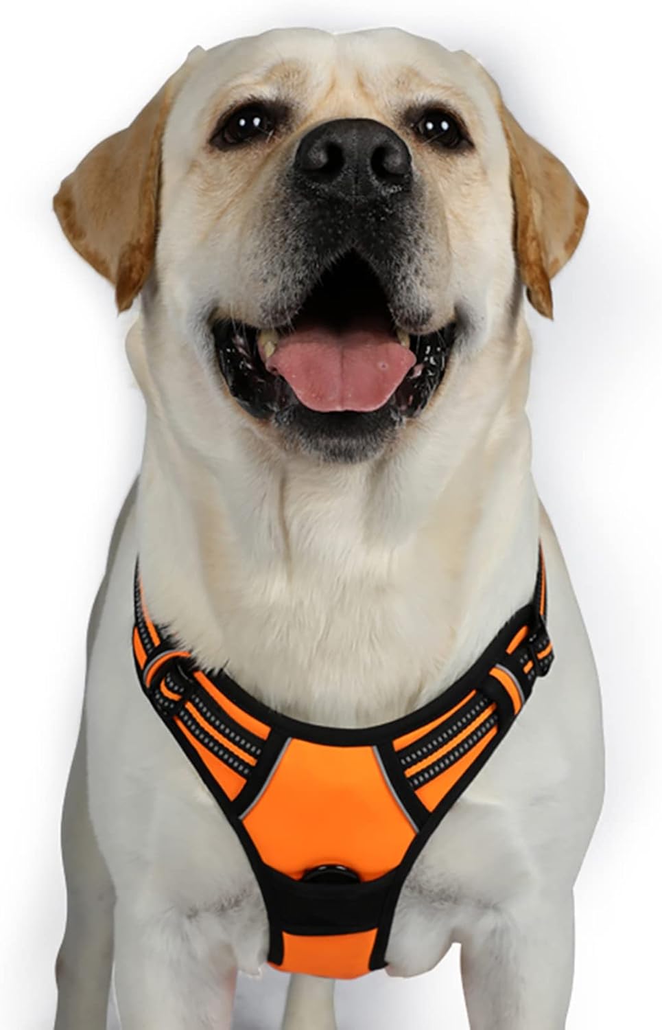 rabbitgoo Dog Harness Large Dog No Pull Pet Harness with 2 Leash Clips, Adjustable Soft Padded Pet Vest, Reflective No-Choke with Easy Control Handle for Training or Walking, Red, L - Comfort Style