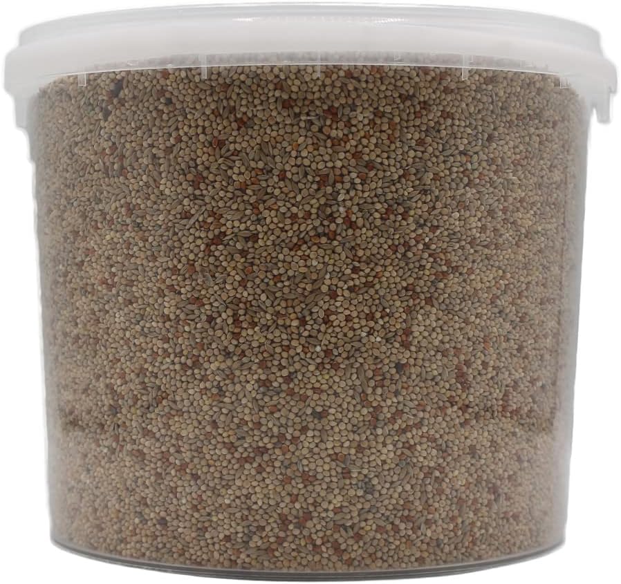 Extra Select Budgie Seed Mix - Indoor Bird Food for Small Birds Only in Handy Bird Seed Storage Tub - 5 Litre