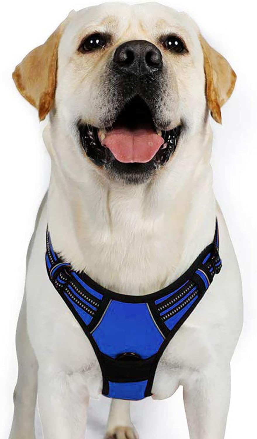 rabbitgoo Dog Harness Large Dog No Pull Pet Harness with 2 Leash Clips, Adjustable Soft Padded Pet Vest, Reflective No-Choke with Easy Control Handle for Training or Walking, Red, L - Comfort Style
