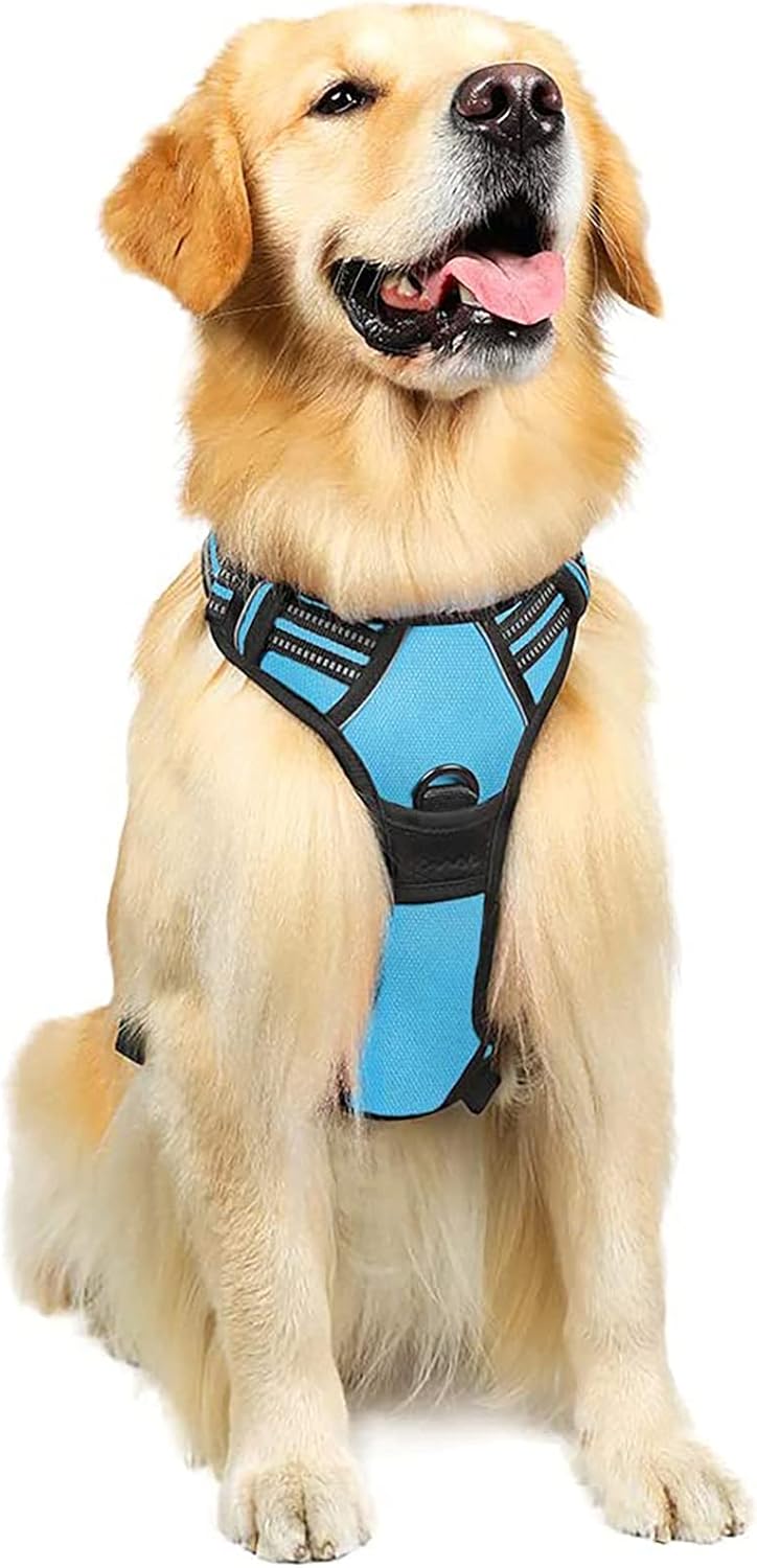 rabbitgoo Dog Harness Large Dog No Pull Pet Harness with 2 Leash Clips, Adjustable Soft Padded Pet Vest, Reflective No-Choke with Easy Control Handle for Training or Walking, Red, L - Comfort Style